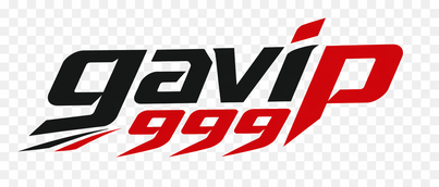 Gavip 999 logo